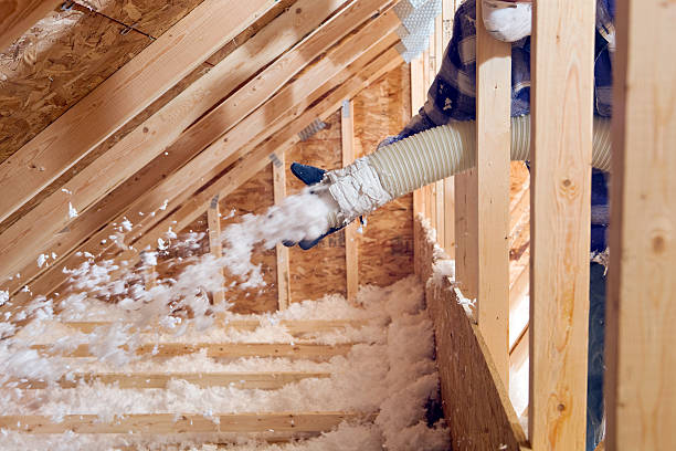 Best Soundproof Insulation  in Cedar Glen Lakes, NJ